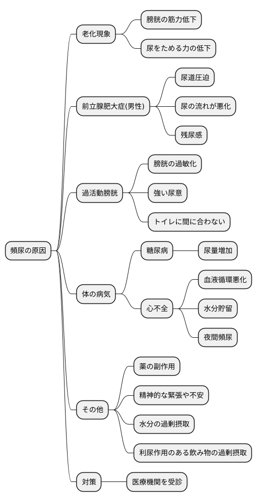 頻尿の原因