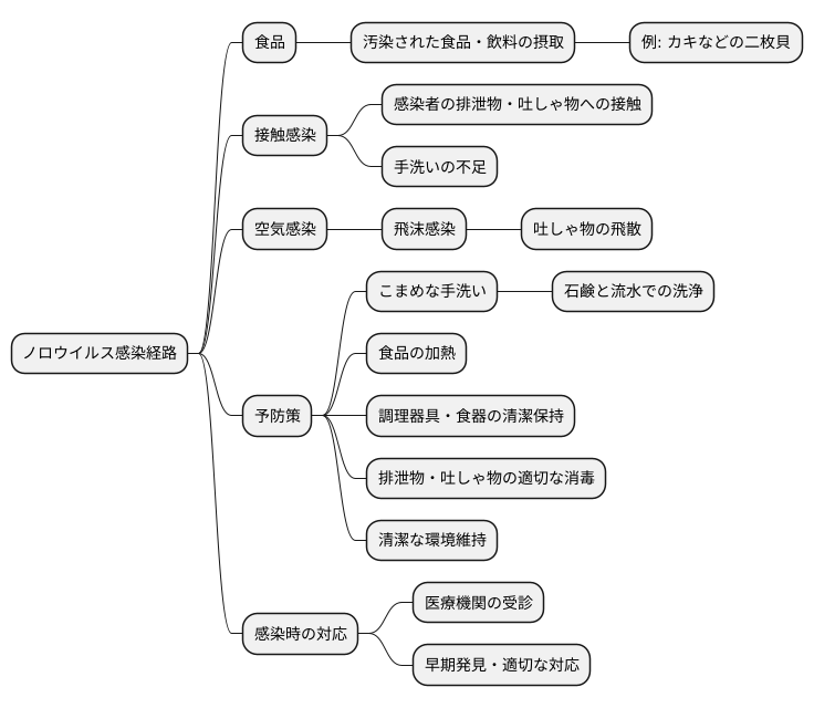 感染経路と予防策