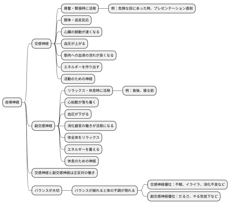 交感神経との関係