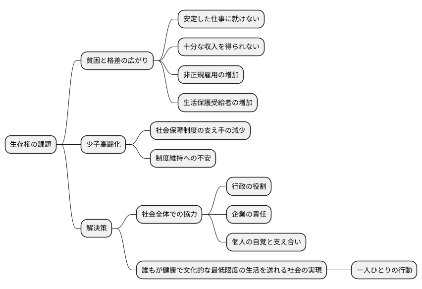 生存権の課題