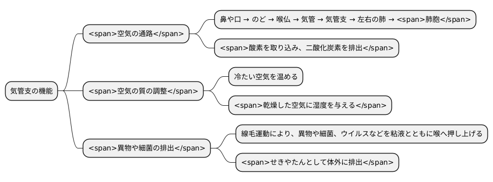 気管支の機能