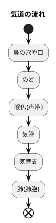 気道の役割