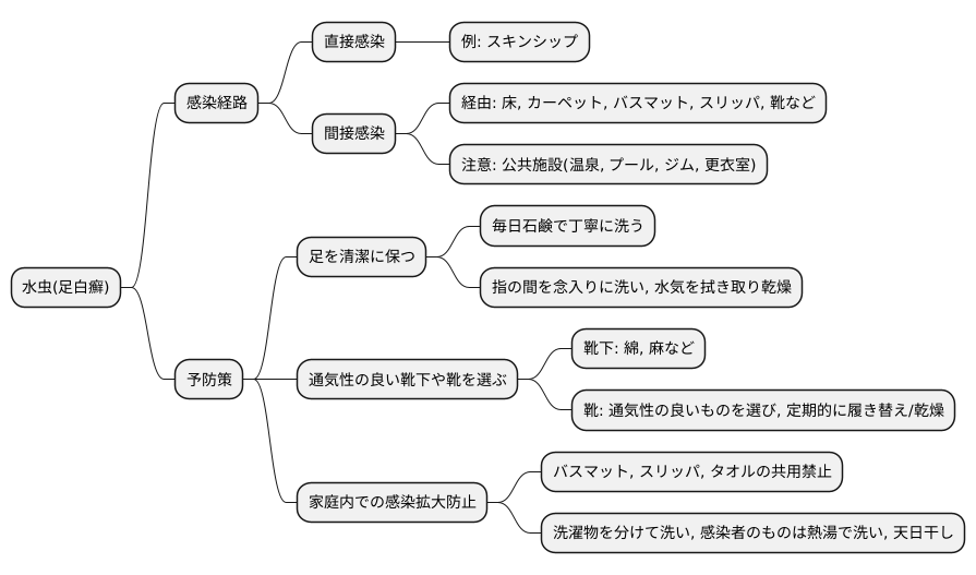 感染経路と予防策