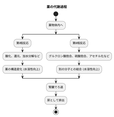 代謝の段階