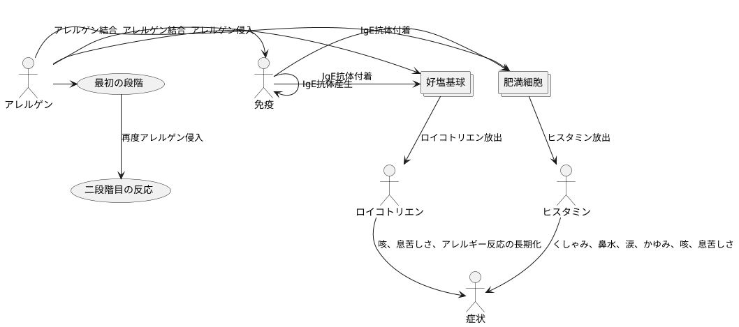 アレルギー反応の仕組み