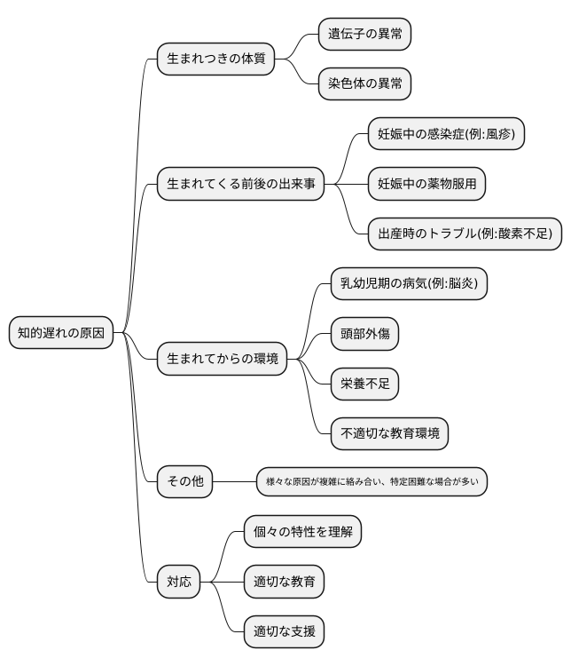 知的な遅れの原因