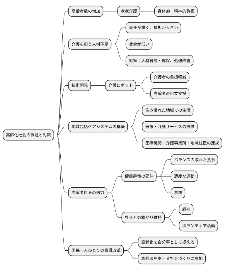 将来の展望