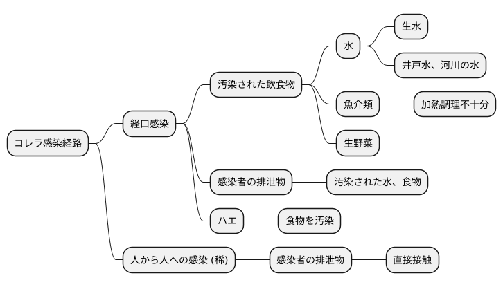 感染経路