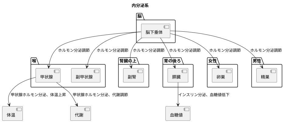 内分泌系の仕組み