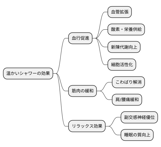 温熱効果と代謝促進