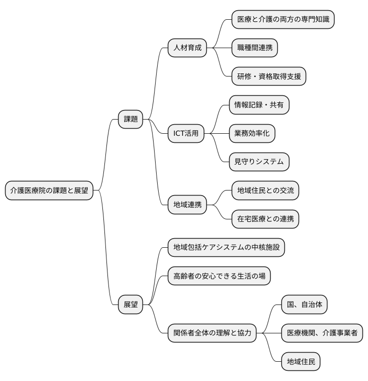 今後の展望