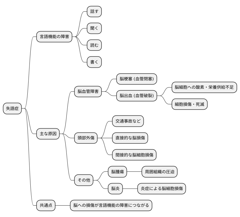 失語症の主な原因